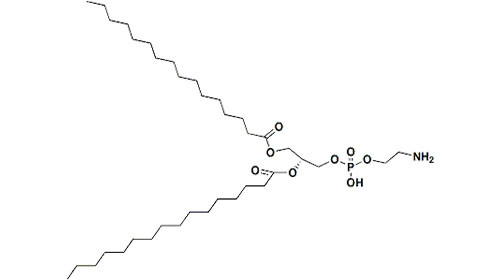 C37H74NO8P 923-61-5 PEG Reagent 1 , 2 - Dipalmitoyl - Sn - Glycero - 3 - Phosphoethanolamine